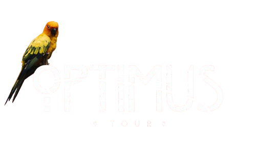 OPTIMUS TOURS